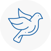 Bird Prevention Epsom