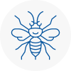 Epsom Hornet Nest Removals