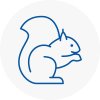 Epsom Rodent Removals