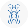 Epsom Wasp Nest Removal